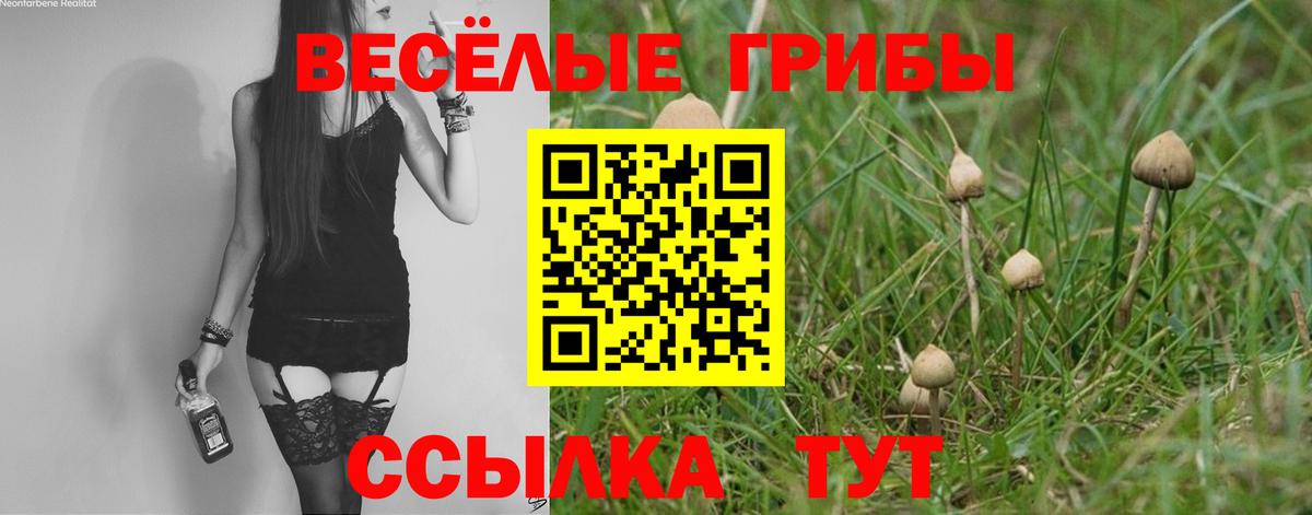 Псилоцибиновые грибы MAGIC MUSHROOMS Тверь